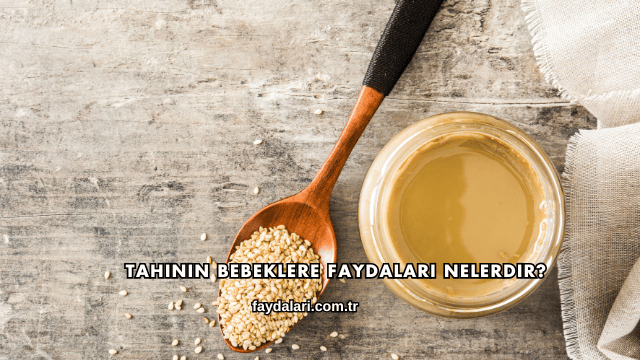 Tahinin Bebeklere Faydaları Nelerdir?