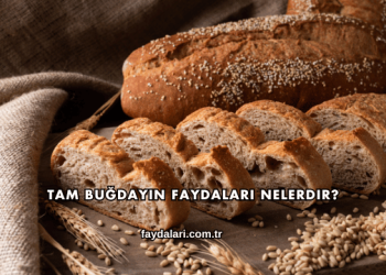 Tam Buğdayın Faydaları Nelerdir?