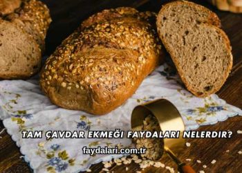 Tam Çavdar Ekmeği Faydaları Nelerdir?