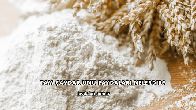 Tam Çavdar Unu Faydaları Nelerdir?