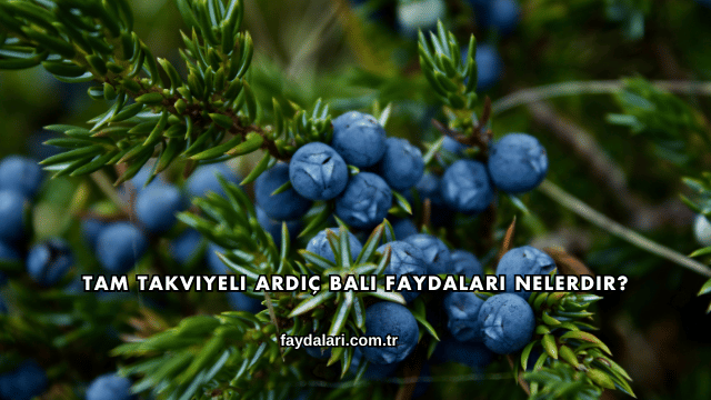 Tam Takviyeli Ardıç Balı Faydaları Nelerdir?