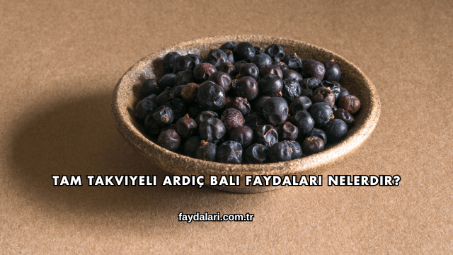 Tam Takviyeli Ardıç Balı Faydaları Nelerdir?