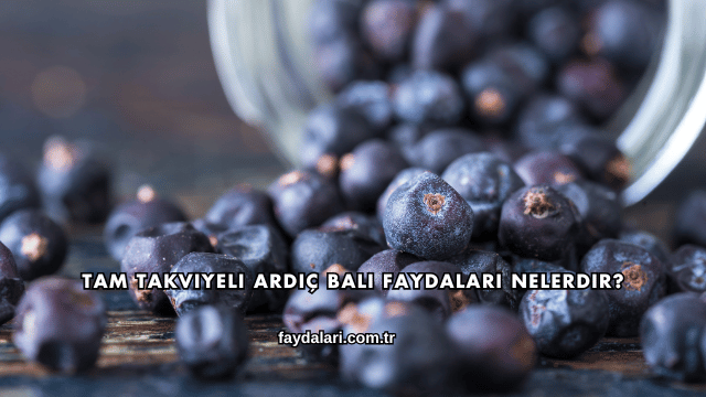 Tam Takviyeli Ardıç Balı Faydaları Nelerdir?