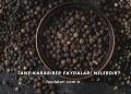 Tane Karabiber Faydaları Nelerdir?