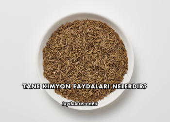 Tane Kimyon Faydaları Nelerdir?