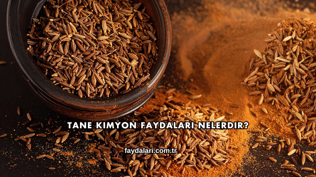 Tane Kimyon Faydaları Nelerdir?