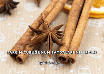 Tarçın Çubuğunun Faydaları Nelerdir?