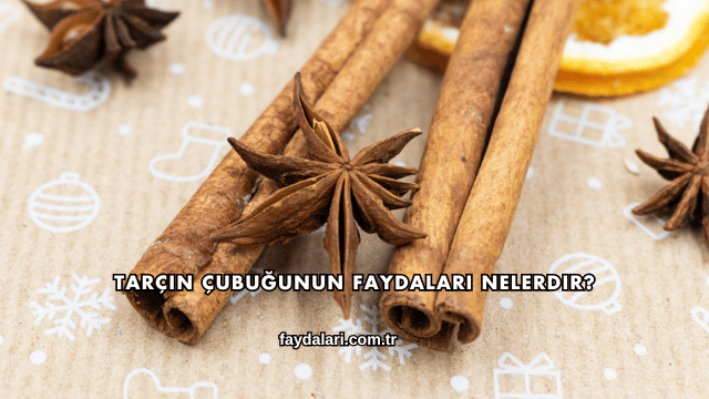 Tarçın Çubuğunun Faydaları Nelerdir?