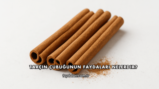 Tarçın Çubuğunun Faydaları Nelerdir?