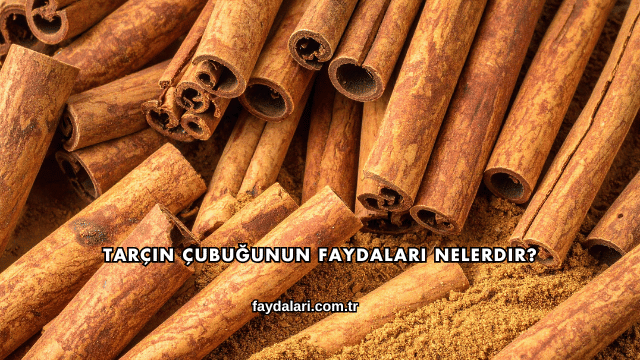Tarçın Çubuğunun Faydaları Nelerdir?