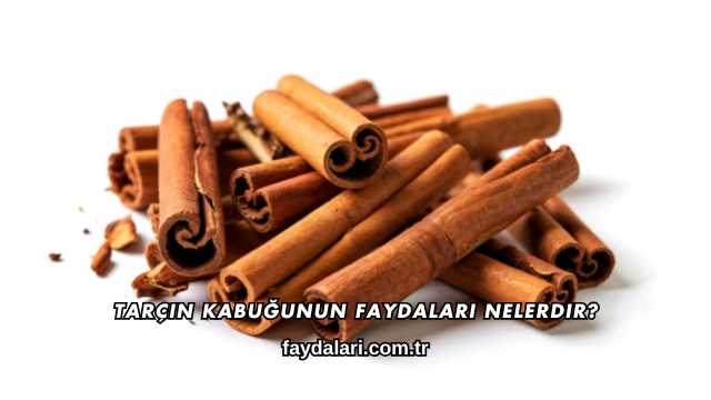 Tarçın Kabuğunun Faydaları Nelerdir