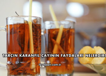Tarçın Karanfil Çayının Faydaları Nelerdir?