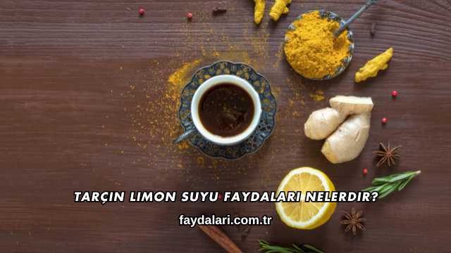 Tarçın Limon Suyu Faydaları Nelerdir?