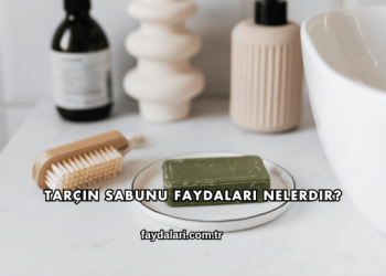 Tarçın Sabunu Faydaları Nelerdir?