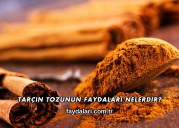 Tarçın Tozunun Faydaları Nelerdir?