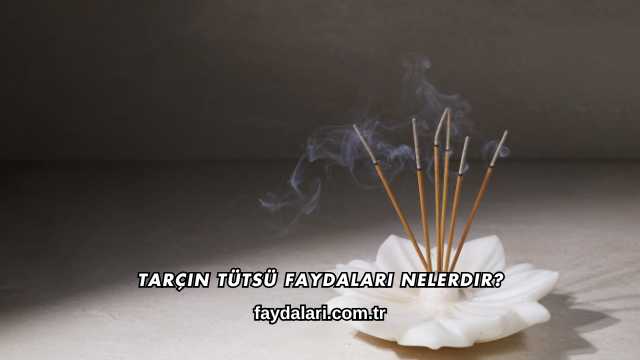 Tarçın Tütsü Faydaları Nelerdir?