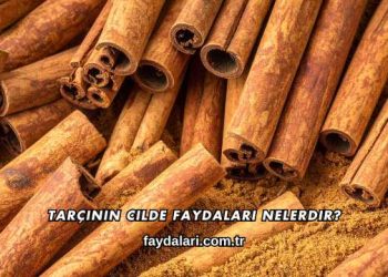 Tarçının Cilde Faydaları Nelerdir?