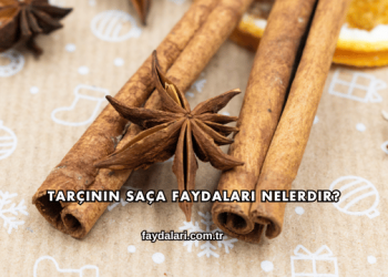 Tarçının Saça Faydaları Nelerdir?