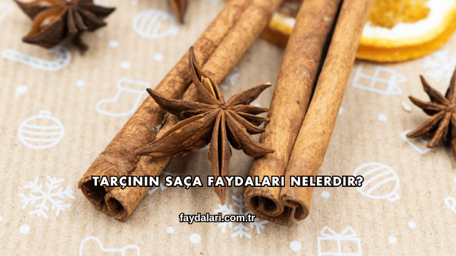 Tarçının Saça Faydaları Nelerdir?