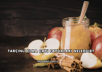 Tarçınlı Elma Çayı Faydaları Nelerdir?