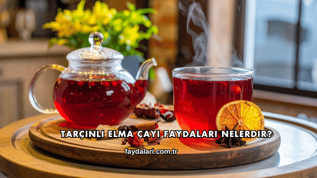 Tarçınlı Elma Çayı Faydaları Nelerdir?