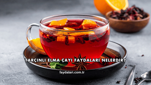 Tarçınlı Elma Çayı Faydaları Nelerdir?