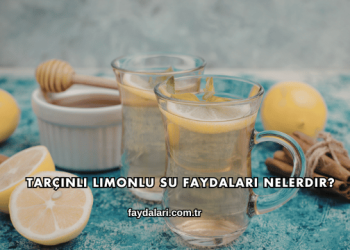 Tarçınlı Limonlu Su Faydaları Nelerdir?