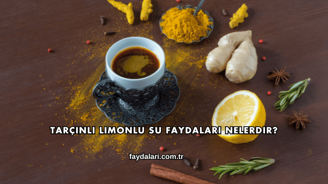 Tarçınlı Limonlu Su Faydaları Nelerdir?