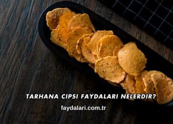 Tarhana Cipsi Faydaları Nelerdir?