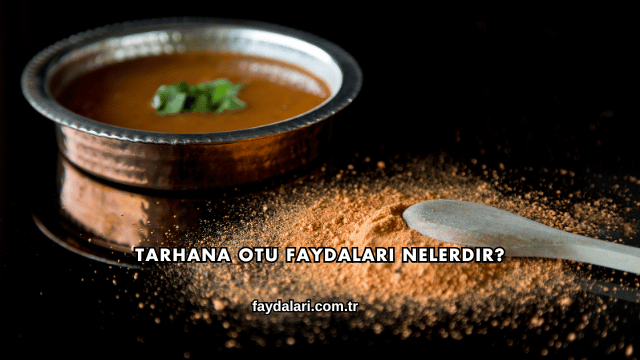 Tarhana Otu Faydaları Nelerdir?