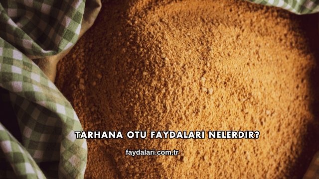 Tarhana Otu Faydaları Nelerdir?