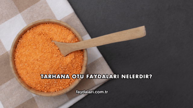 Tarhana Otu Faydaları Nelerdir?