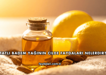 Tatlı Badem Yağının Cilde Faydaları Nelerdir?