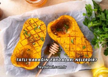 Tatlı Kabağın Faydaları Nelerdir?