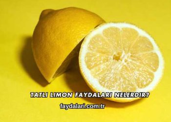 Tatlı Limon Faydaları Nelerdir?