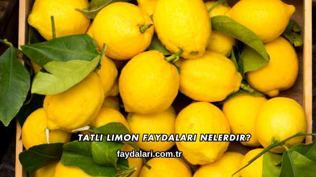 Tatlı Limon Faydaları Nelerdir?