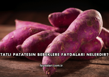 Tatlı Patatesin Bebeklere Faydaları Nelerdir?