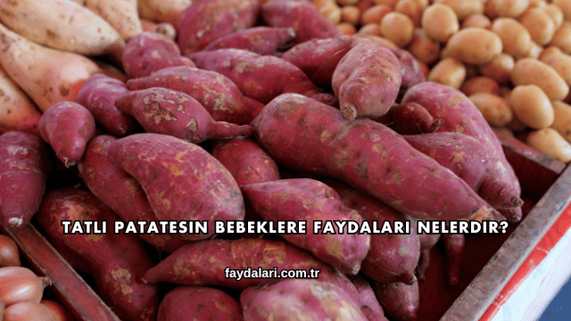 Tatlı Patatesin Bebeklere Faydaları Nelerdir?