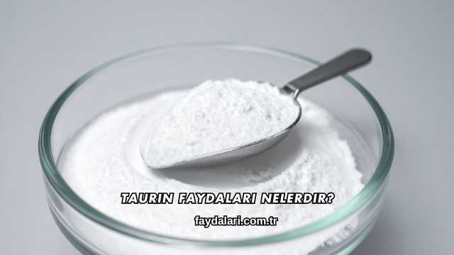 Taurin Faydaları Nelerdir?