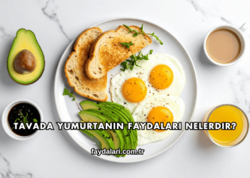 Tavada Yumurtanın Faydaları Nelerdir?