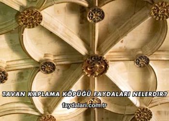 Tavan Kaplama Köpüğü Faydaları Nelerdir?