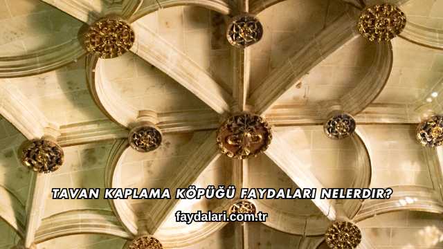 Tavan Kaplama Köpüğü Faydaları Nelerdir?