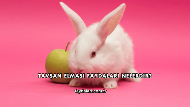Tavşan Elması Faydaları Nelerdir?