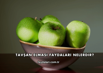 Tavşan Elması Faydaları Nelerdir?