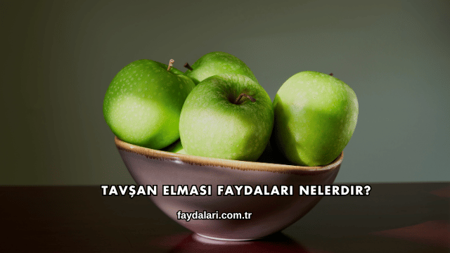 Tavşan Elması Faydaları Nelerdir?