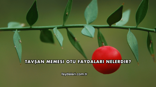 Tavşan Memesi Otu Faydaları Nelerdir?
