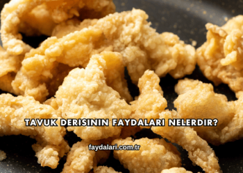 Tavuk Derisinin Faydaları Nelerdir?