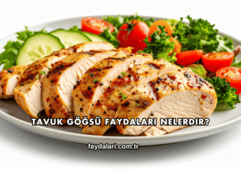 Tavuk Göğsü Faydaları Nelerdir?