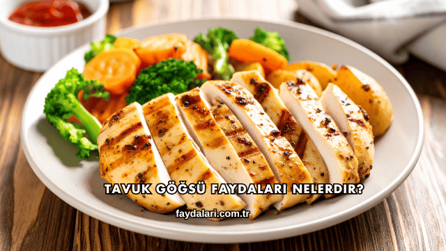Tavuk Göğsü Faydaları Nelerdir?