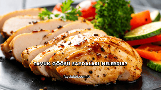 Tavuk Göğsü Faydaları Nelerdir?